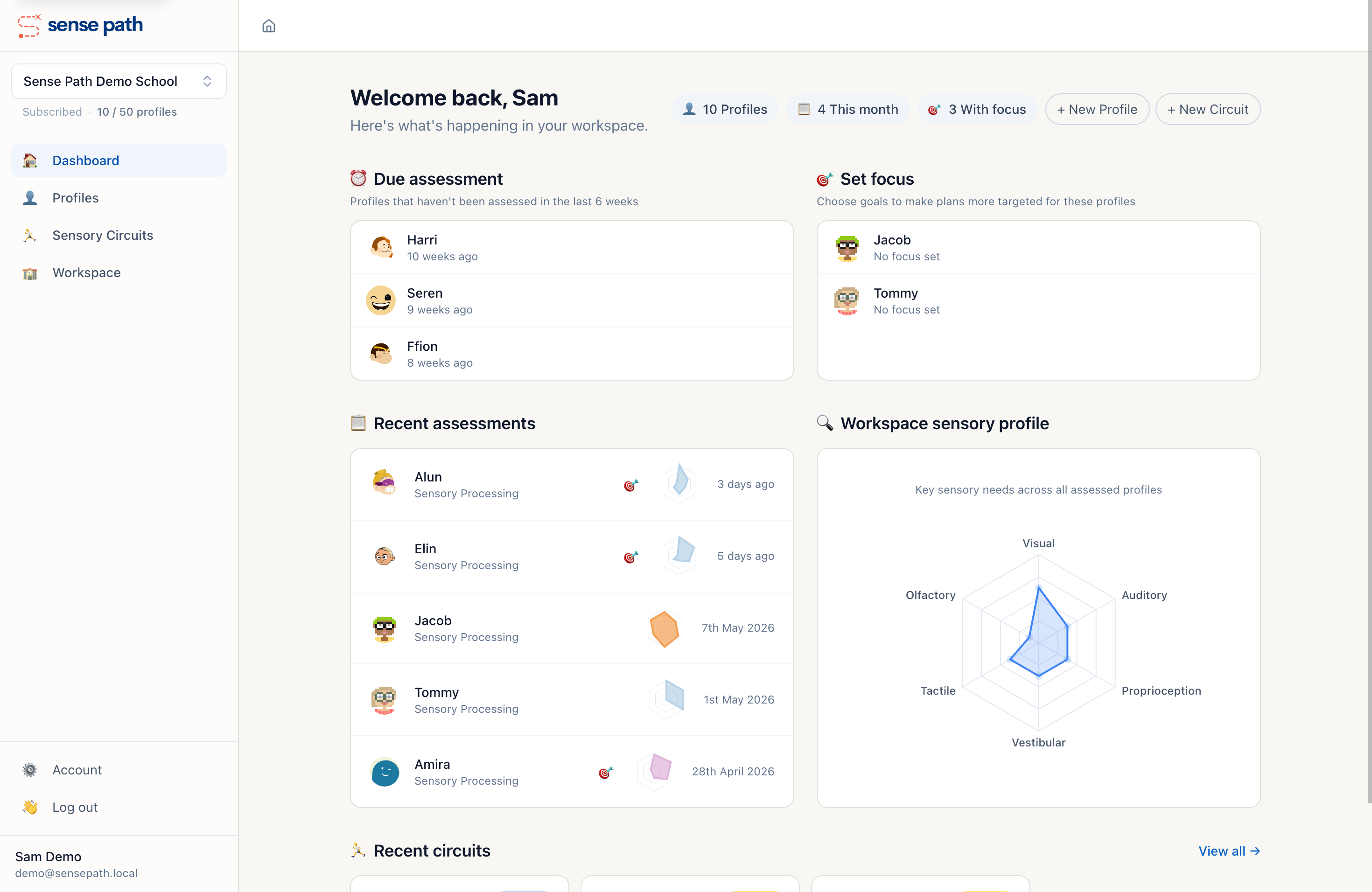 Dashboard overview with profiles, assessments, and workspace radar chart